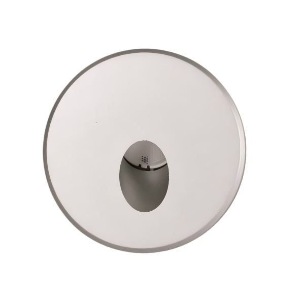 LED WALL LIGHT