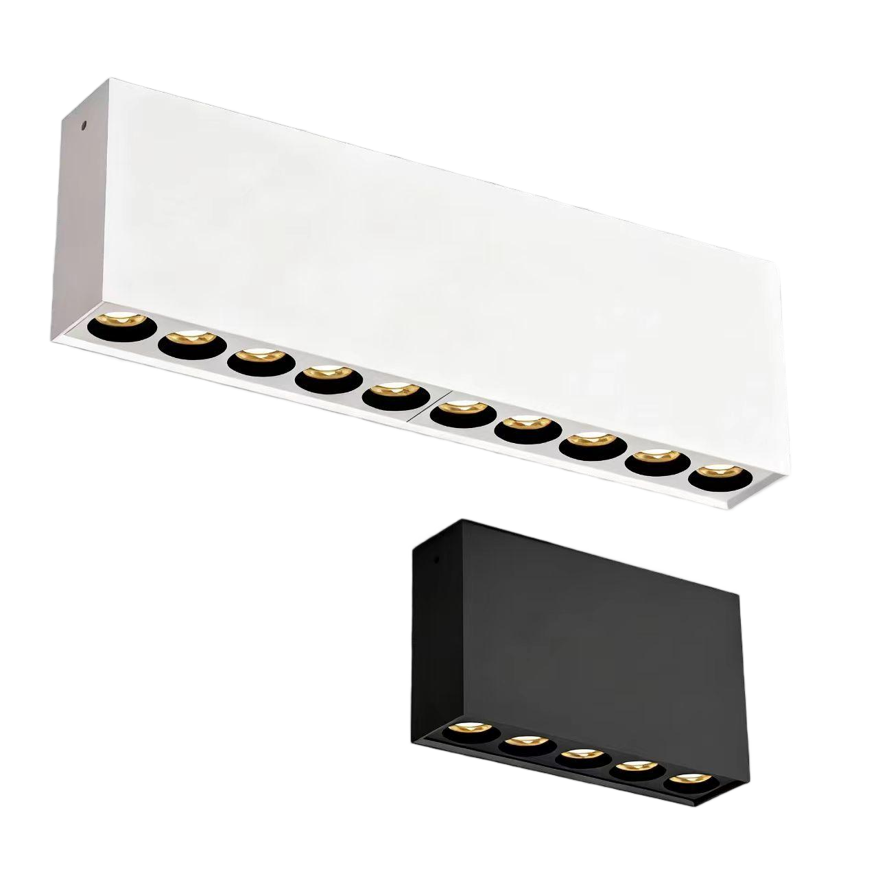 Magnetic Light 