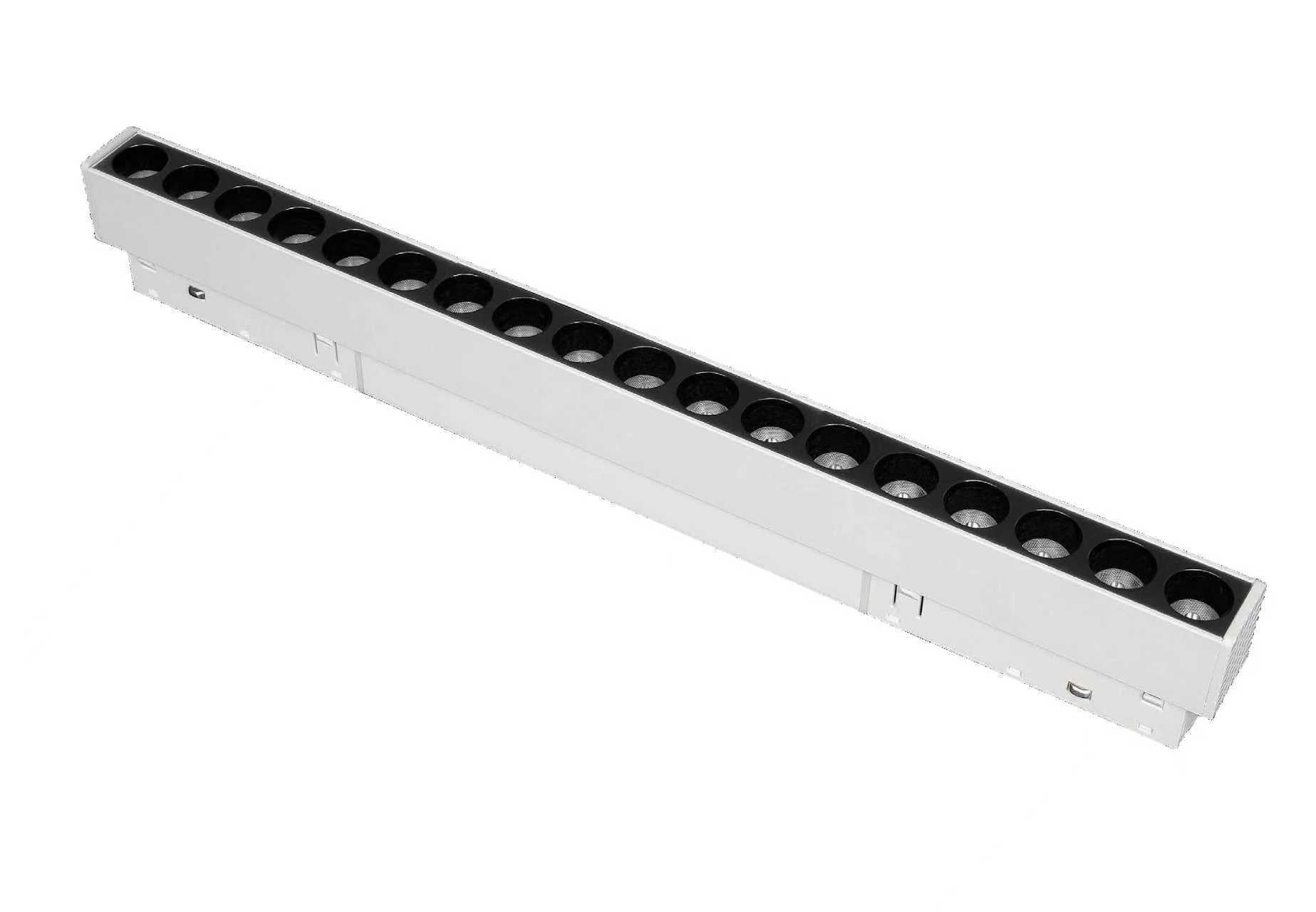 Magnetic Light