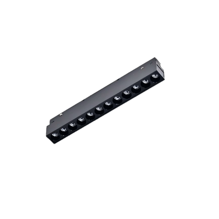 Magnetic Light