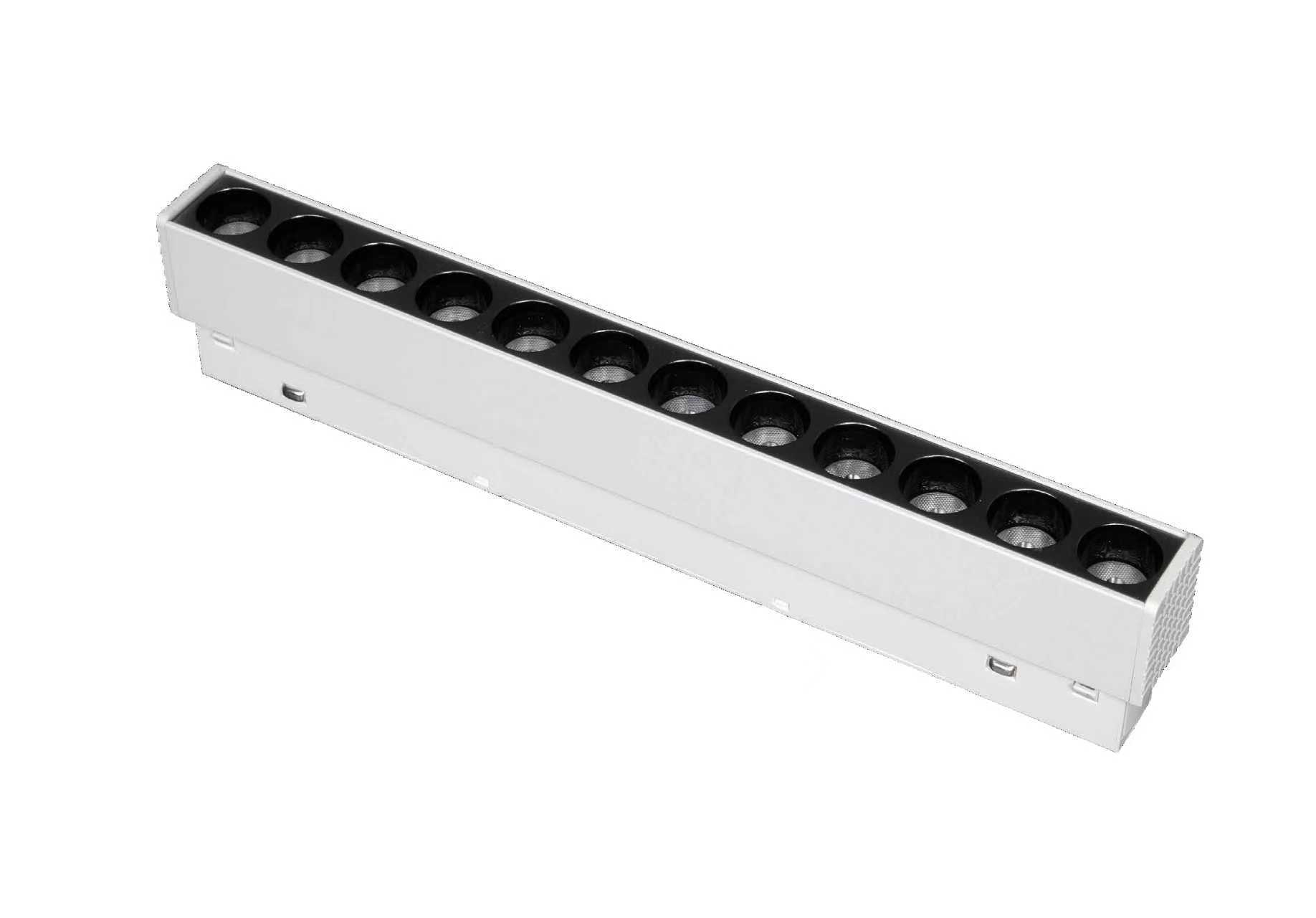 Magnetic Light