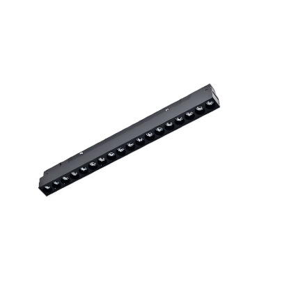 Magnetic Light