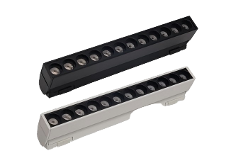 Magnetic Light