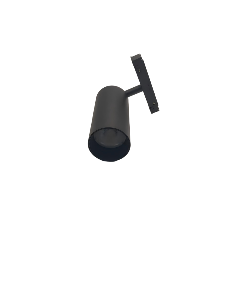 Magnetic Light